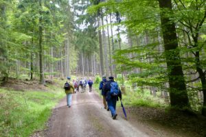 Herrenwandergruppe 2 " Entlang der Bauna"