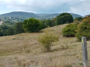Sonntags-Wandergruppe: KVG-Wanderung: Der Kasseler Süden und die Dönche (15 km)