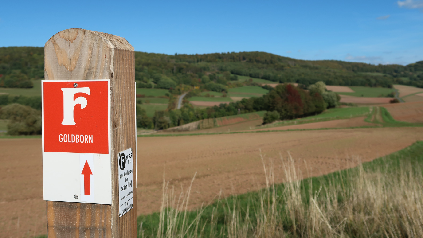 Mehr über den Artikel erfahren Entdeckertour Fabelweg Goldborn