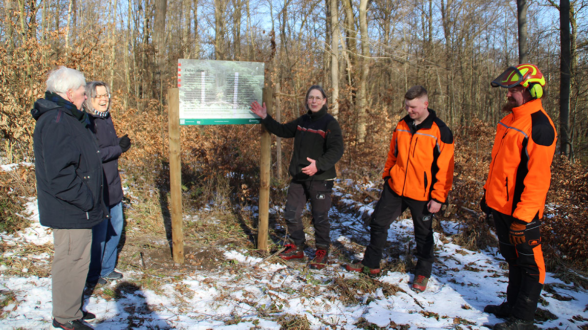 Mehr über den Artikel erfahren HWGV Kassel unterstützte historische Eichenallee im Habichtswald