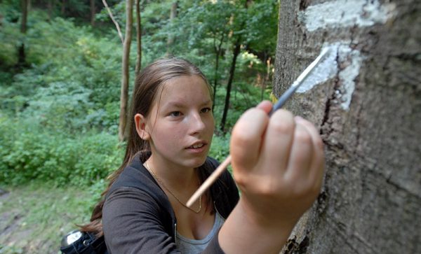 Zeichen setzen: Verena Vesper hat eine Ausbildung als Wegezeichnerin absolviert. (Foto © J. Kuhr)